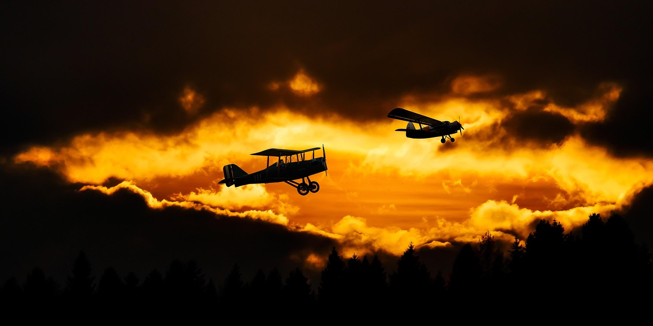 호관원 데커신 부작용