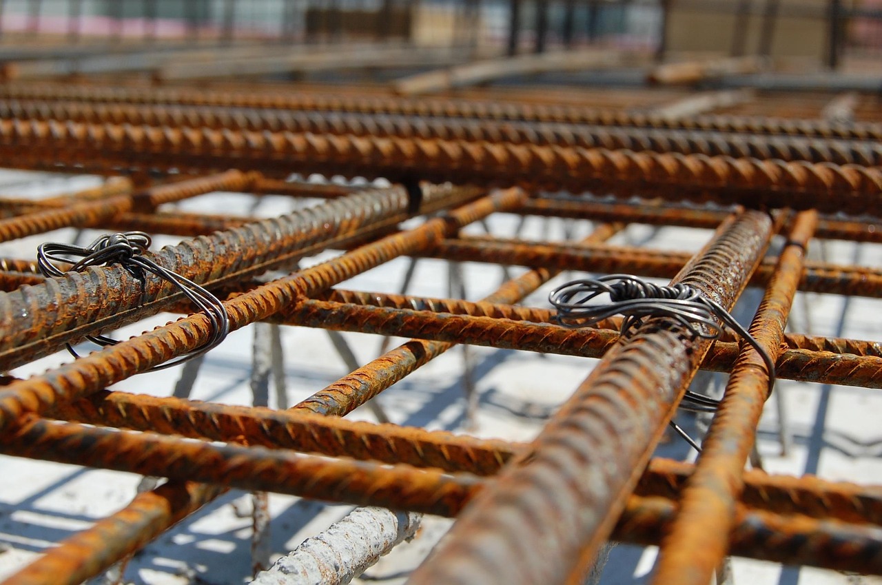 호관원 효능 부작용